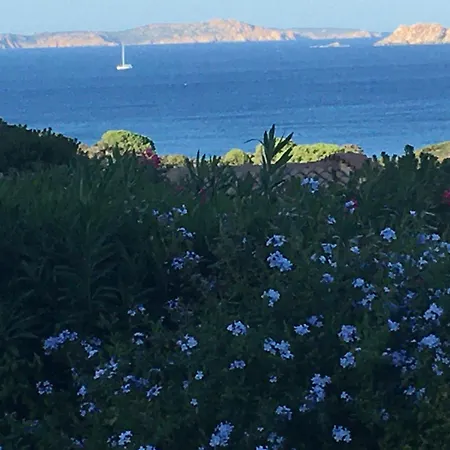 Stupenda Vista Mare Santa Teresa Gallura Localita Conca Via Ulisse 37 فيلة Conca Verde