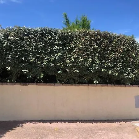 Stupenda Vista Mare Santa Teresa Gallura Localita Conca Via Ulisse 37 Вилла *